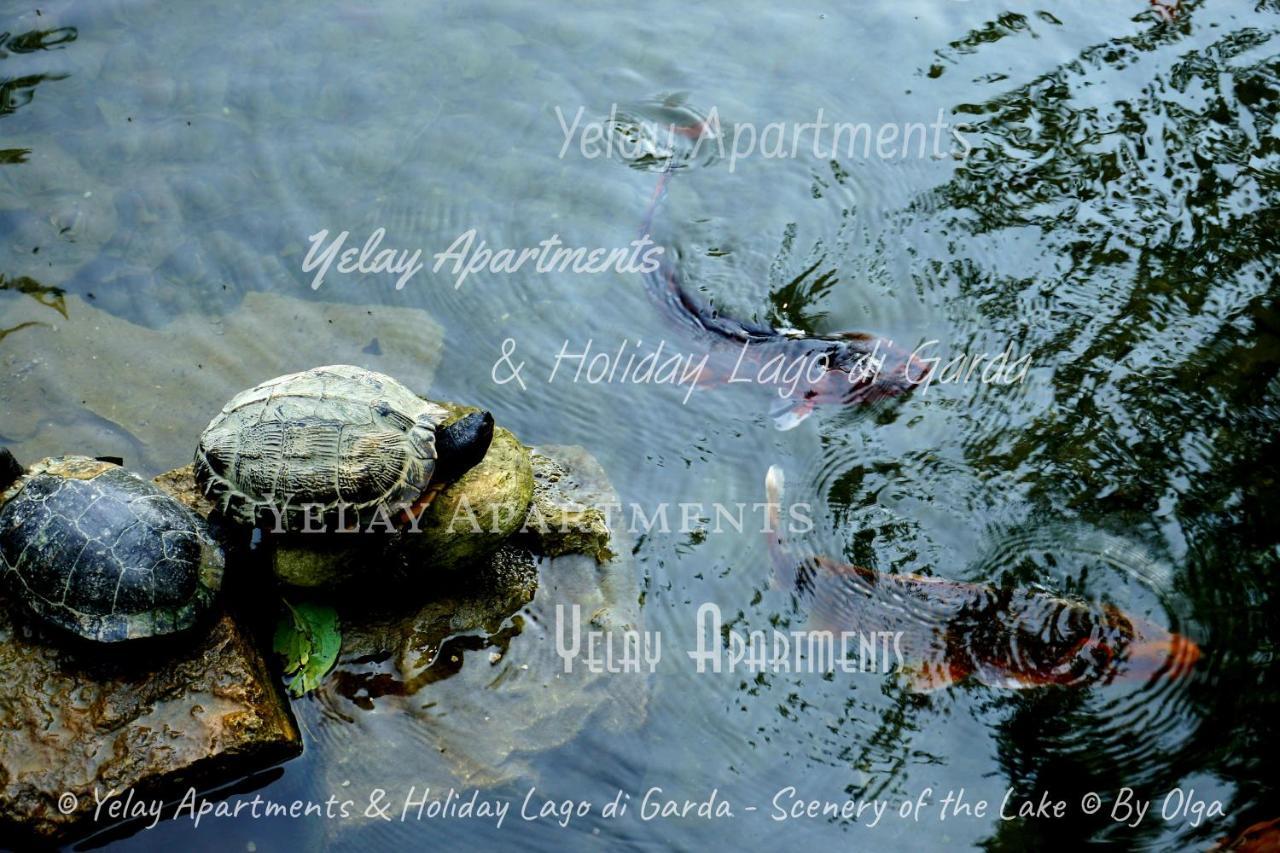 Yelay Apartments & Holiday Lago Di Garda Raffa ภายนอก รูปภาพ