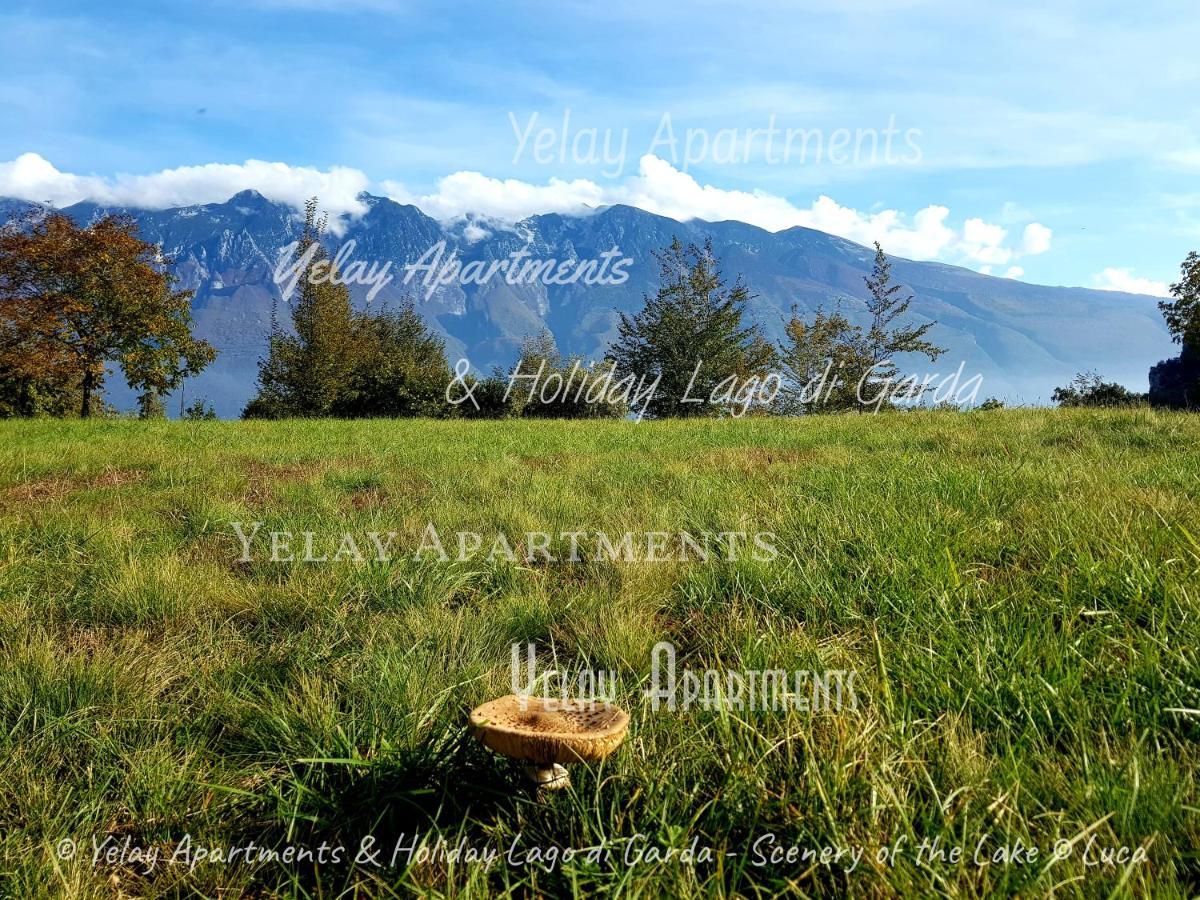Yelay Apartments & Holiday Lago Di Garda Raffa ภายนอก รูปภาพ